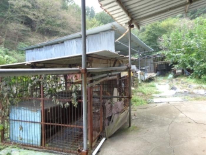 충청남도 서산시 팔봉면 금학리 388 전 경매 사진 43