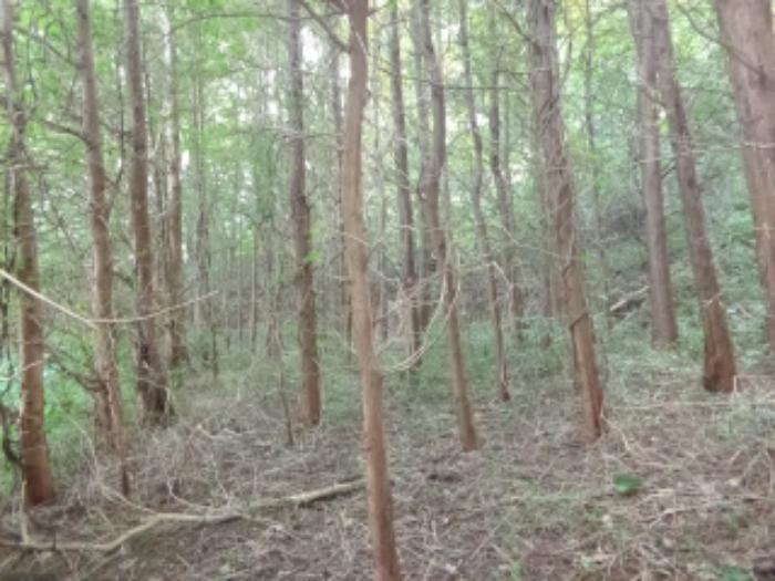 충청남도 서산시 팔봉면 금학리 388 전 경매 사진 45
