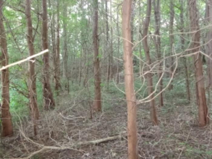 충청남도 서산시 팔봉면 금학리 388 전 경매 사진 46