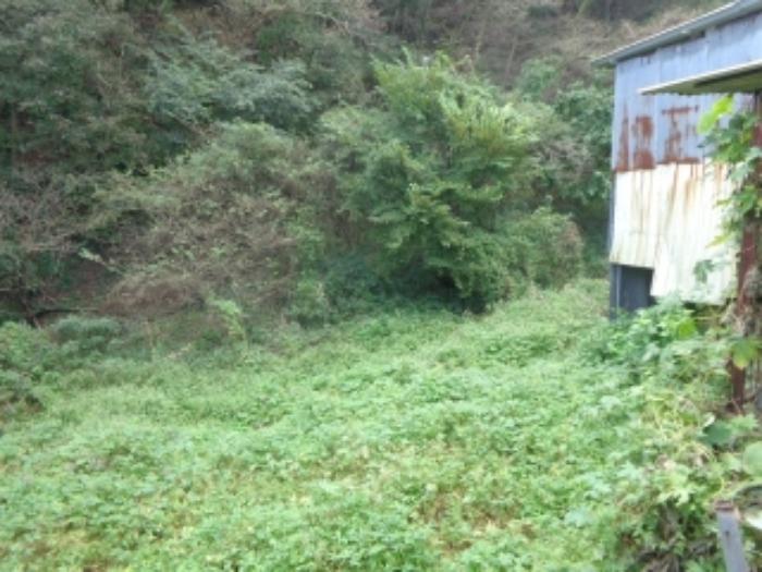 충청남도 서산시 팔봉면 금학리 388 전 경매 사진 47