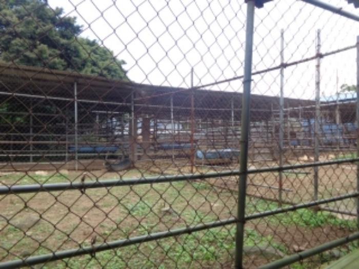 충청남도 서산시 팔봉면 금학리 388 전 경매 사진 48