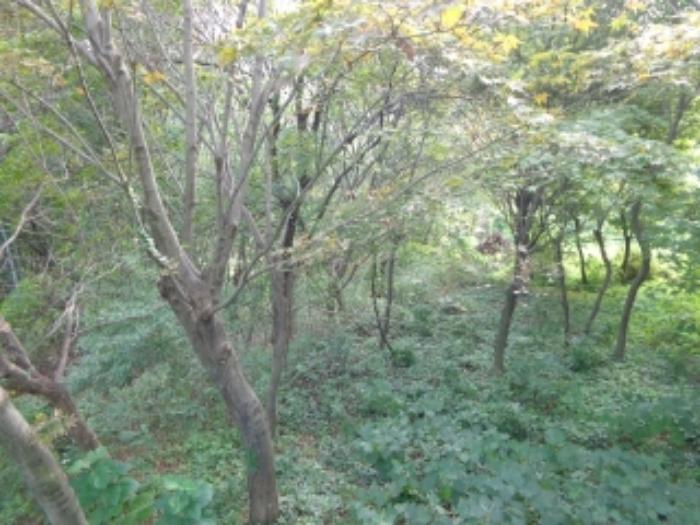 충청남도 서산시 팔봉면 금학리 388 전 경매 사진 53