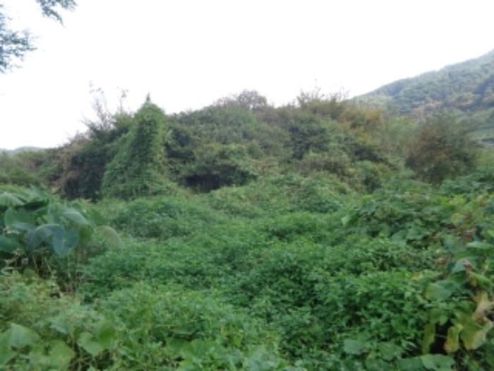 충청남도 서산시 팔봉면 금학리 388 전 경매 사진 55