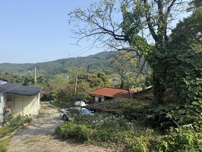 충청남도 서산시 팔봉면 금학리 388 전 경매 사진 6