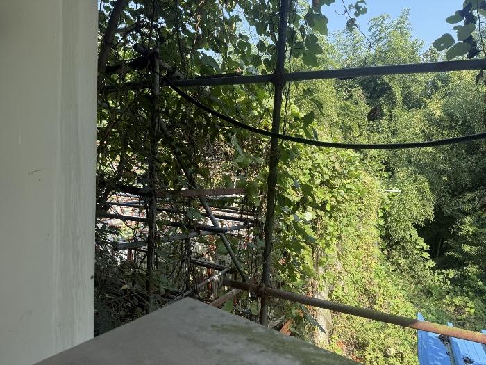 충청남도 서산시 팔봉면 금학리 388 전 경매 사진 7