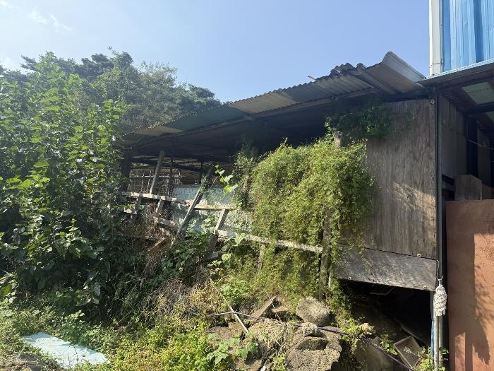 충청남도 서산시 팔봉면 금학리 388 전 경매 사진 8