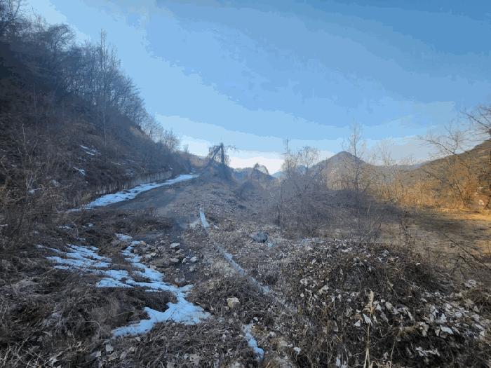 충청남도 금산군 제원면 천내리 196-38 임야 경매 사진 1