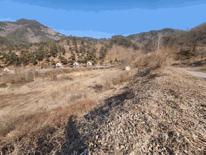 충청남도 금산군 제원면 천내리 196-38 임야 경매 사진 10