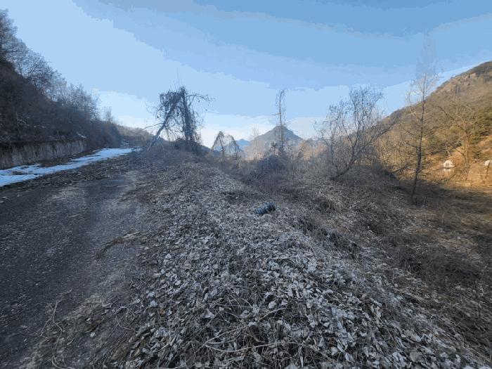 충청남도 금산군 제원면 천내리 196-38 임야 경매 사진 12