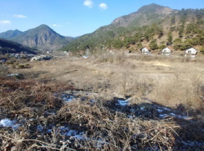 충청남도 금산군 제원면 천내리 196-38 임야 경매 사진 18