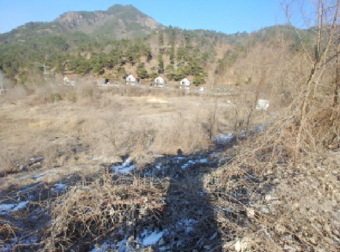 충청남도 금산군 제원면 천내리 196-38 임야 경매 사진 19