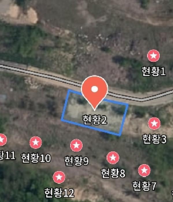 충청남도 금산군 제원면 천내리 196-38 임야 경매 사진 30