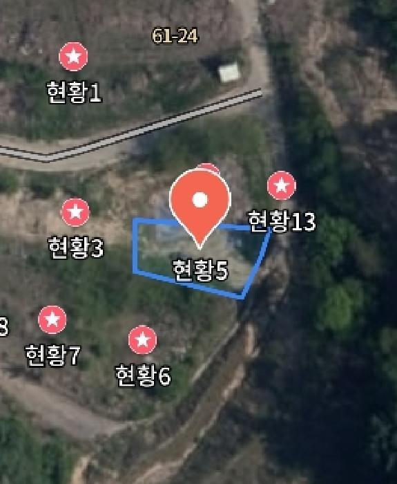 충청남도 금산군 제원면 천내리 196-38 임야 경매 사진 33