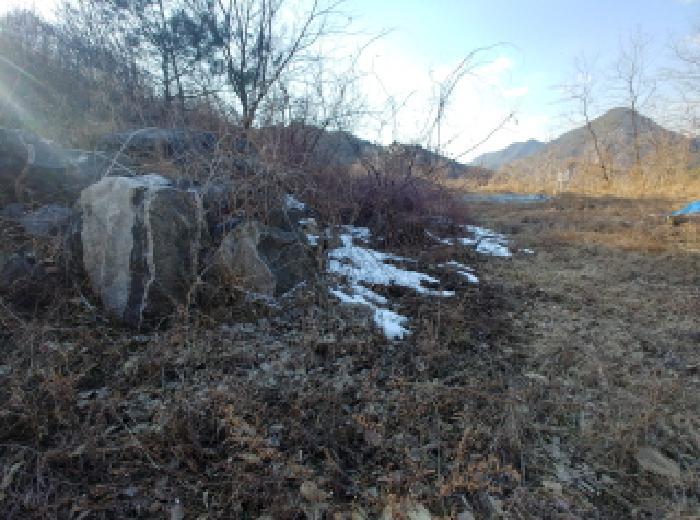 충청남도 금산군 제원면 천내리 196-38 임야 경매 사진 34