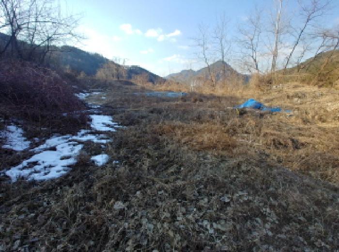 충청남도 금산군 제원면 천내리 196-38 임야 경매 사진 36
