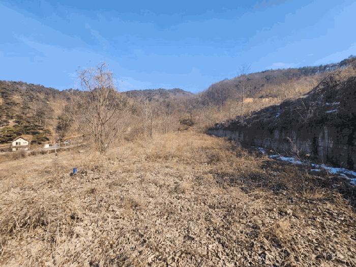 충청남도 금산군 제원면 천내리 196-38 임야 경매 사진 4