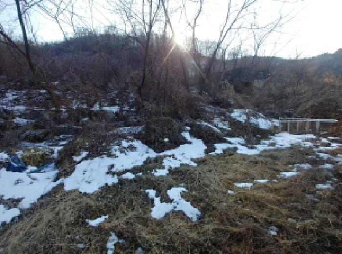 충청남도 금산군 제원면 천내리 196-38 임야 경매 사진 40