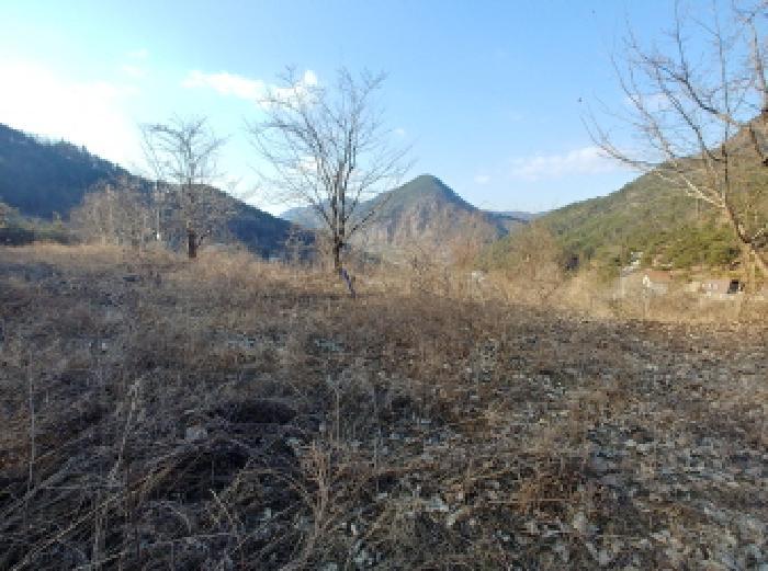 충청남도 금산군 제원면 천내리 196-38 임야 경매 사진 47