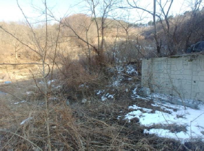 충청남도 금산군 제원면 천내리 196-38 임야 경매 사진 49
