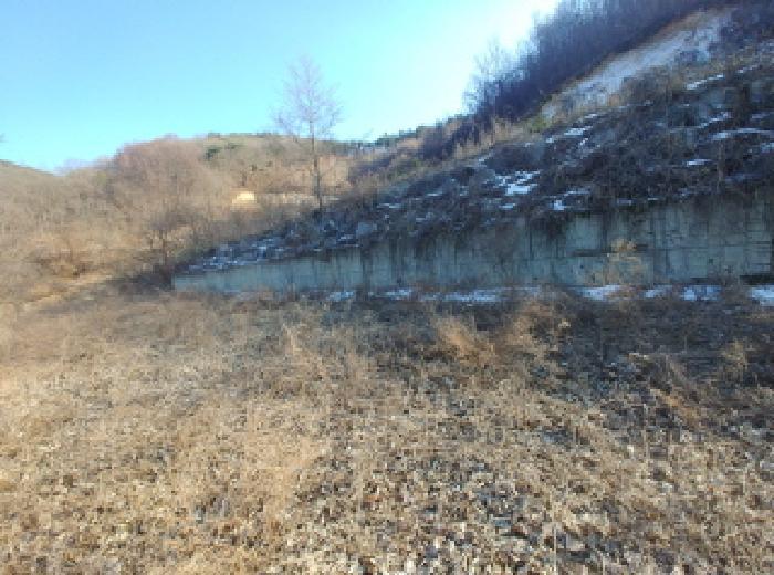 충청남도 금산군 제원면 천내리 196-38 임야 경매 사진 52