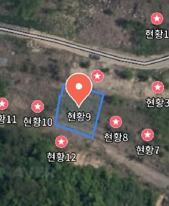 충청남도 금산군 제원면 천내리 196-38 임야 경매 사진 57