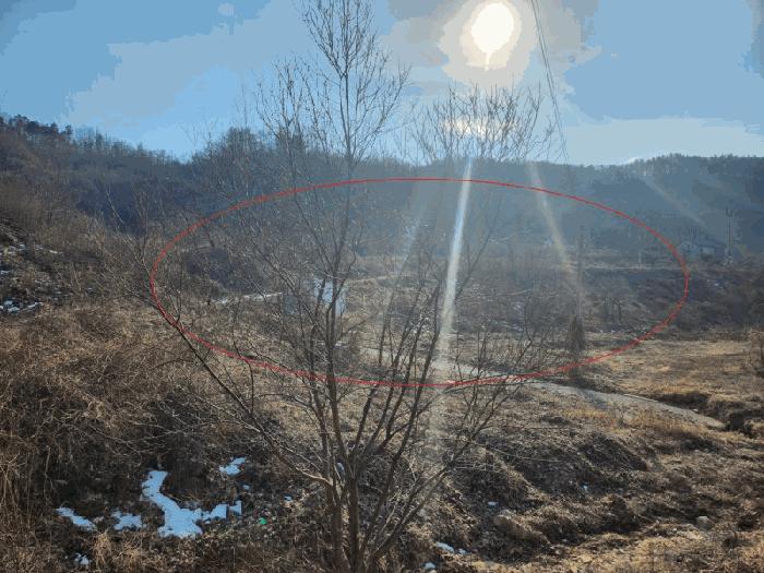 충청남도 금산군 제원면 천내리 196-38 임야 경매 사진 7