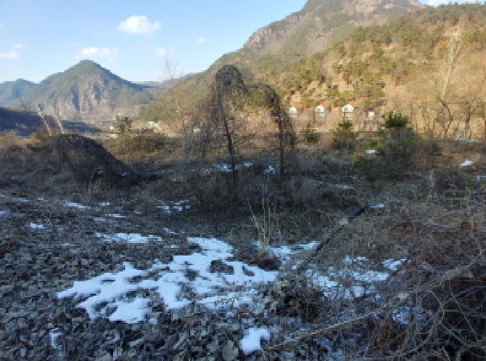 충청남도 금산군 제원면 천내리 196-38 임야 경매 사진 70