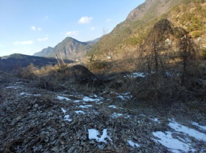 충청남도 금산군 제원면 천내리 196-38 임야 경매 사진 71