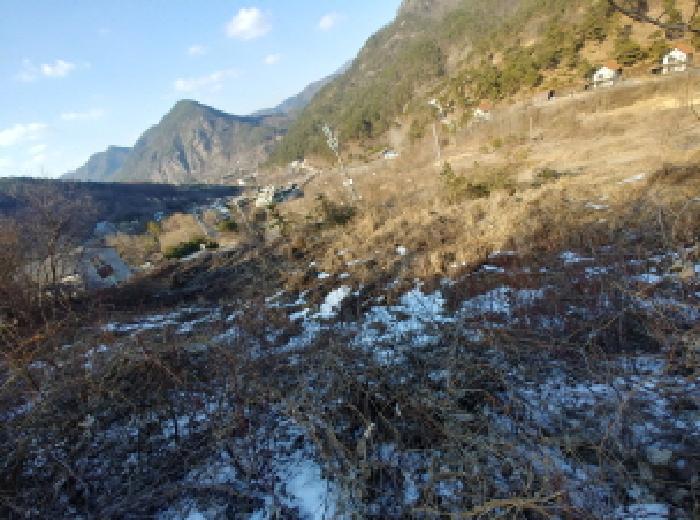 충청남도 금산군 제원면 천내리 196-38 임야 경매 사진 75