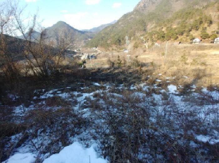 충청남도 금산군 제원면 천내리 196-38 임야 경매 사진 76