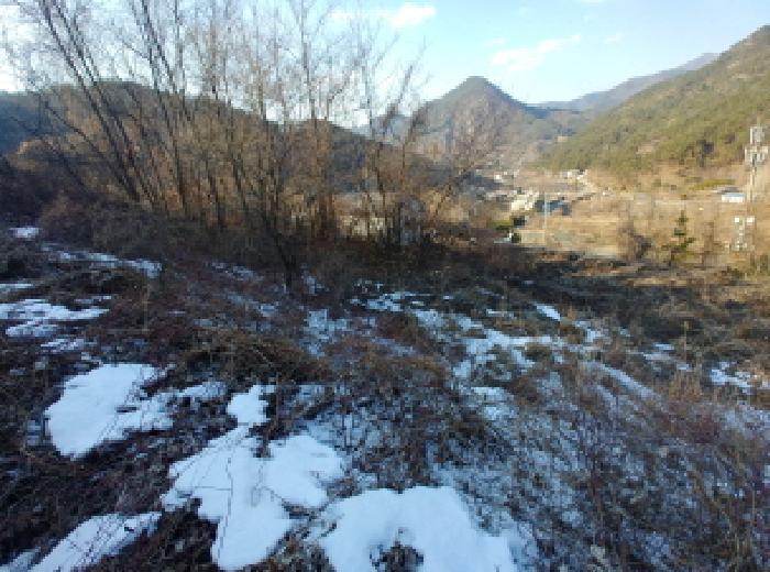 충청남도 금산군 제원면 천내리 196-38 임야 경매 사진 77