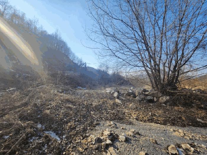 충청남도 금산군 제원면 천내리 196-38 임야 경매 사진 9