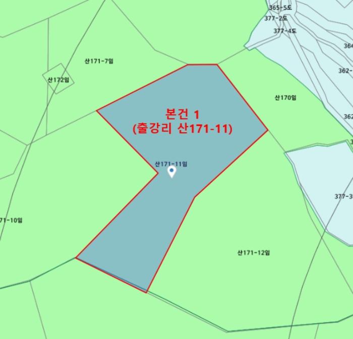 울산광역시 울주군 삼동면 출강리 산171-11 임야 경매 사진 12