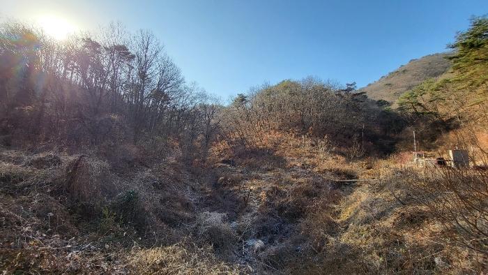 울산광역시 울주군 삼동면 출강리 산171-11 임야 경매 사진 2