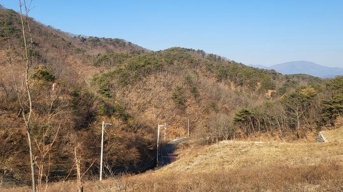 울산광역시 울주군 삼동면 출강리 산171-11 임야 경매 사진 3