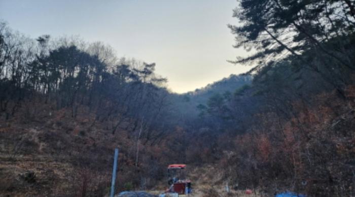울산광역시 울주군 삼동면 출강리 산171-11 임야 경매 사진 5