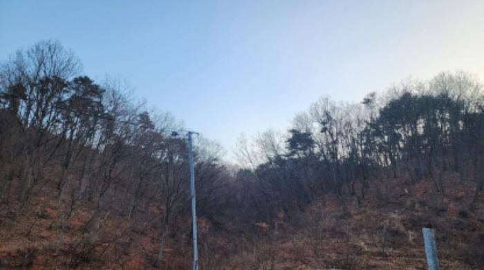 울산광역시 울주군 삼동면 출강리 산171-11 임야 경매 사진 6