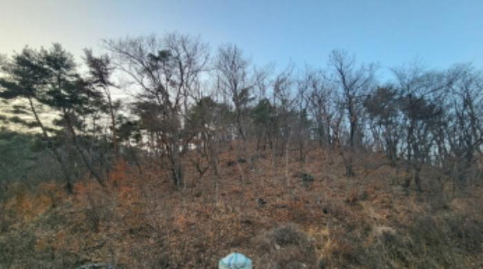 울산광역시 울주군 삼동면 출강리 산171-11 임야 경매 사진 7
