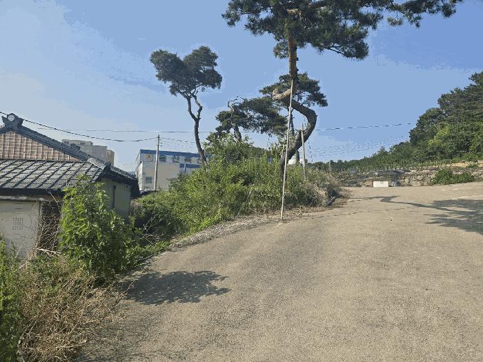 울산광역시 울주군 언양읍 직동리 477-11 근린시설 경매 사진 16