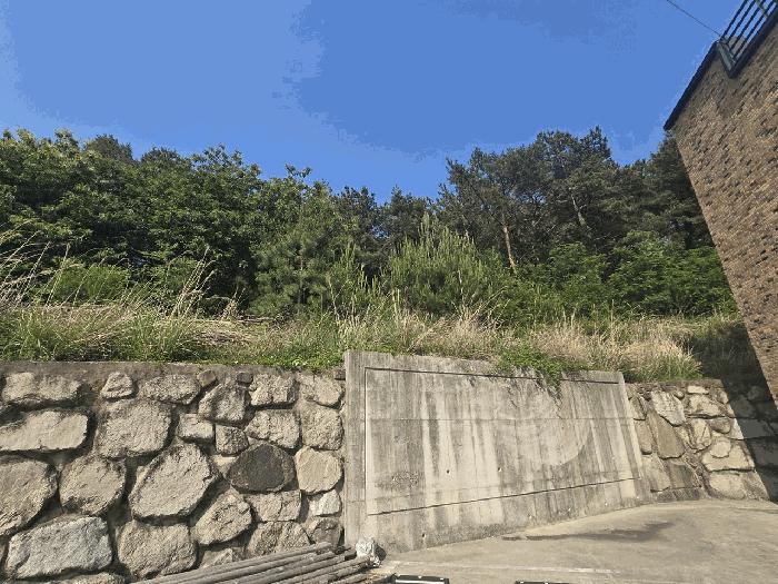 울산광역시 울주군 언양읍 직동리 477-11 근린시설 경매 사진 7