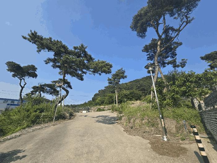 울산광역시 울주군 언양읍 직동리 477-11 근린시설 경매 사진 9