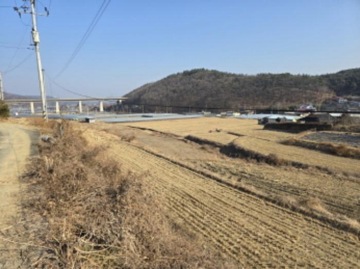 경상북도 영천시 북안면 상리 305 답 경매 사진 3