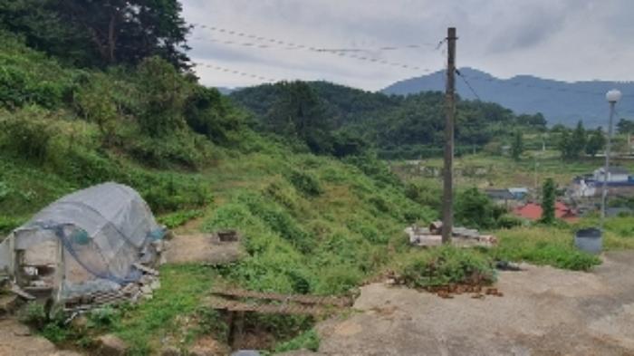 경상남도 창원시 마산합포구 진전면 시락리 700 답 경매 사진 3