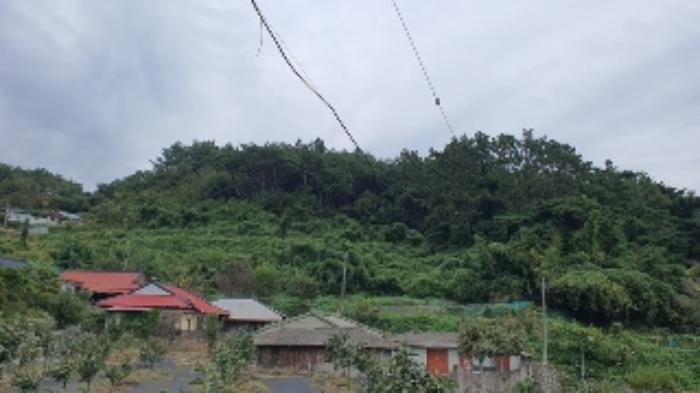 경상남도 창원시 마산합포구 진전면 시락리 700 답 경매 사진 4