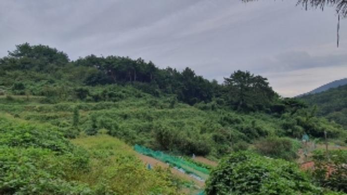 경상남도 창원시 마산합포구 진전면 시락리 700 답 경매 사진 5