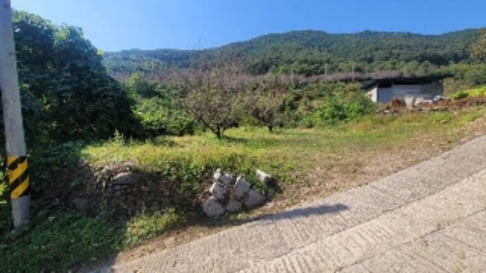 경상남도 의령군 용덕면 용소리 97 답 경매 사진 26