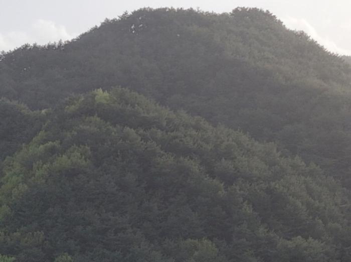 경상북도 울진군 북면 주인리 1267 전 경매 사진 12