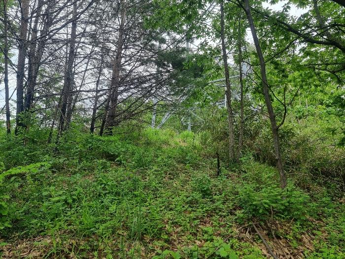 경상북도 울진군 북면 주인리 1276 전 경매 사진 7