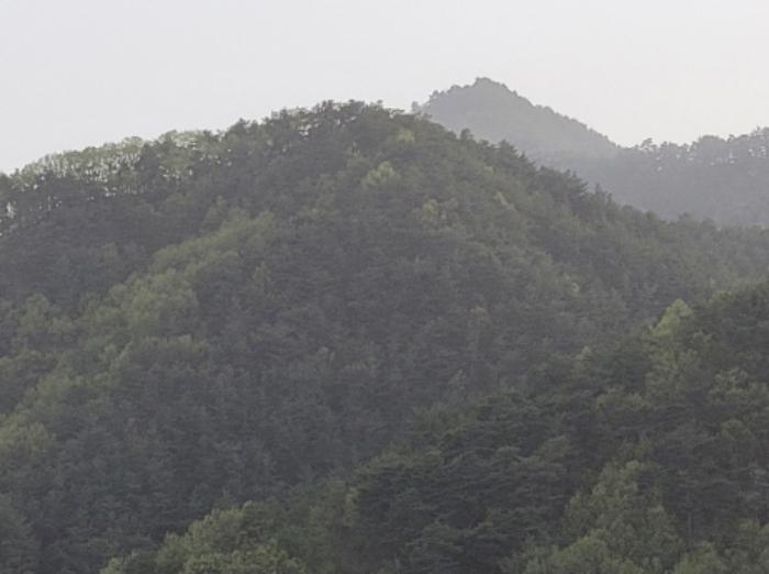 경상북도 울진군 북면 주인리 1295 전 경매 사진 13