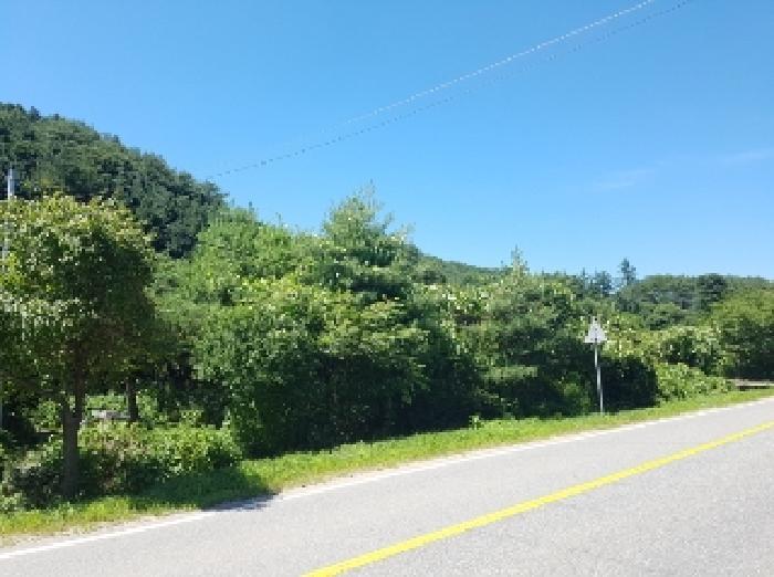 강원특별자치도 홍천군 내촌면 물걸리 1577 전 경매 사진 12